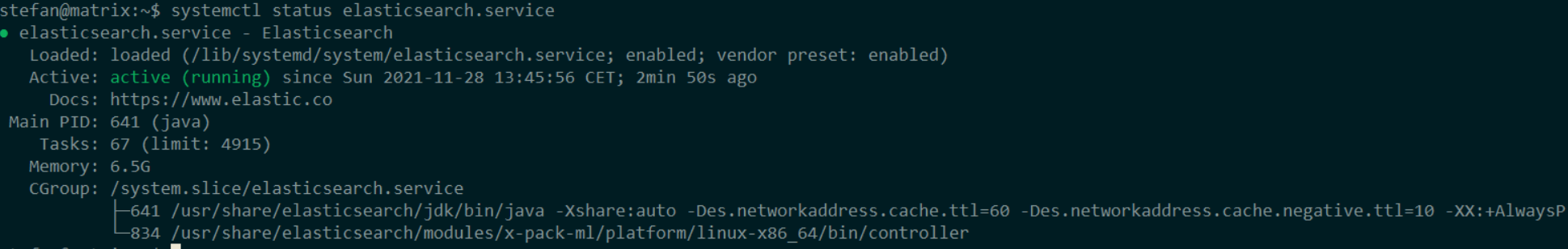install-elastic-daemon-status